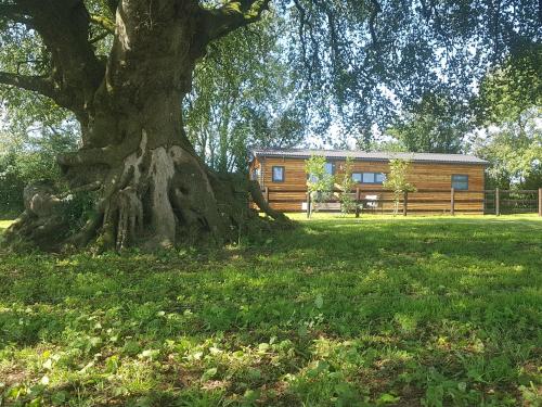 Beech Tree Lodge, , Cornwall