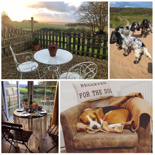 The Old Bike Shed gîte à louer Llanllawddog