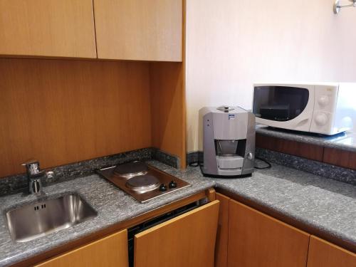 Dynasty Suites Downtown Apartments - image 7
