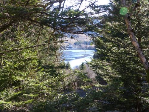 Hotel Le Progrés Dorlotel - image 2