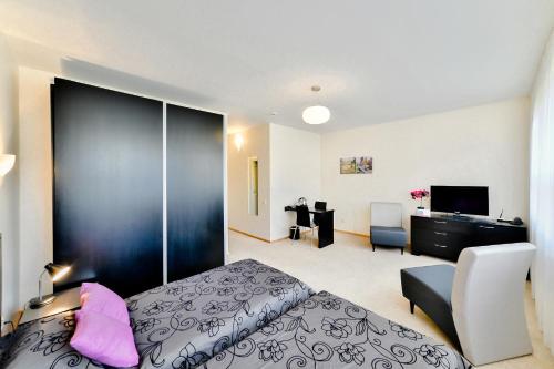 Hotel Vantis Riverside view FREE parking - image 8