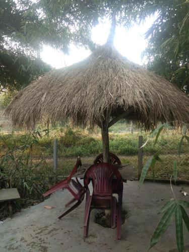 Chital lodge in Meghauli