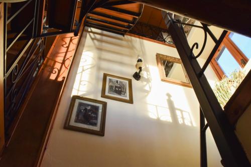 Captain's View - image 14