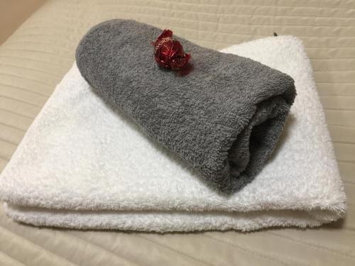 No Smoking, Cozy Apartment in top location 15 min to Center