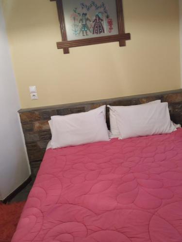 freedom guest house in Tsagkarada