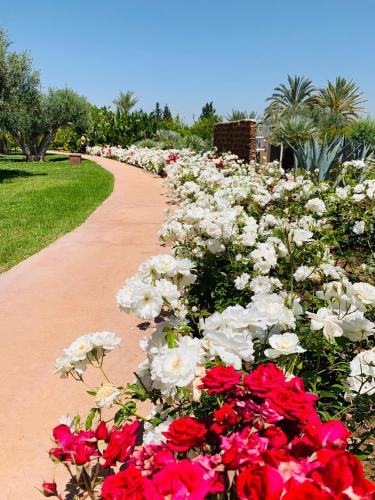 Marrakech Retreat by La Siredrah