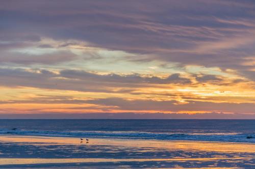 Ocean One 215 - image 9