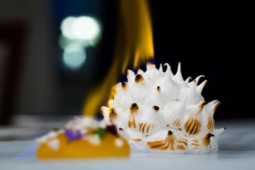 Fishmore Hall Hotel and Boutique Spa - image 10