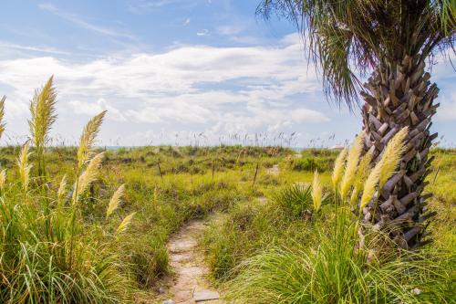 9 Dune Lane - image 3