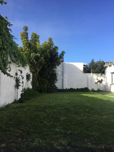 Garden, Casa Chauvin in Near Center