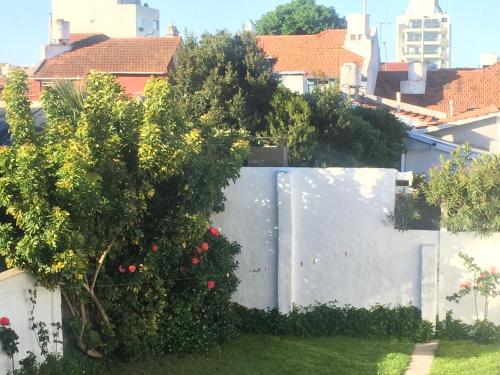Garden, Casa Chauvin in Near Center