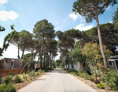 Camping Taxo Les Pins - Maeva