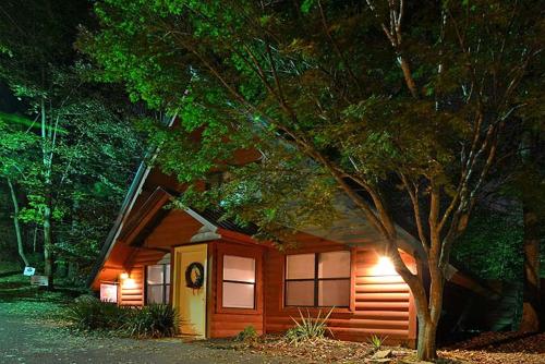 Cupid's Cabin - main image
