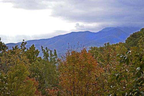Enchanted Mountain Views - image 9