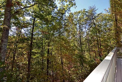 Smoky Mountain Dream - image 9