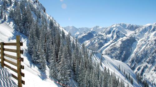 Aspen Grand Hyatt Residence - image 10