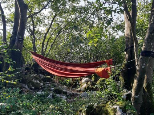 Hoopoe Glamping