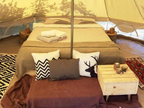 Hoopoe Glamping