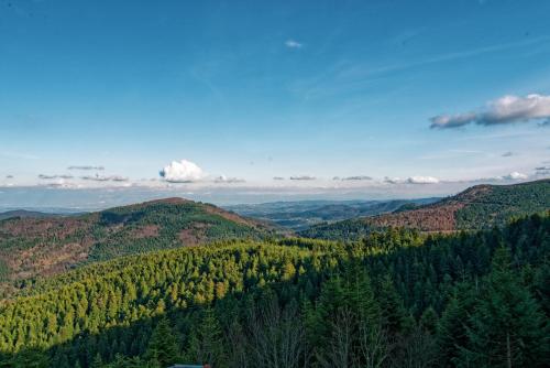 Le Mont Besset