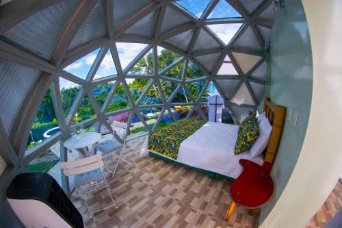 Eco Domo glamping - image 3