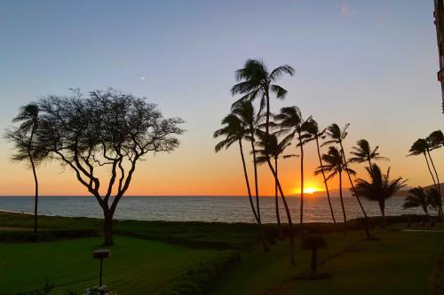 Sleek Kihei Condo in Oceanfront Resort Complex! - image 7