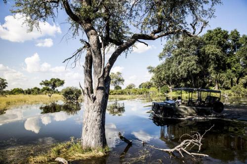 Wilderness Safaris Vumbura Plains