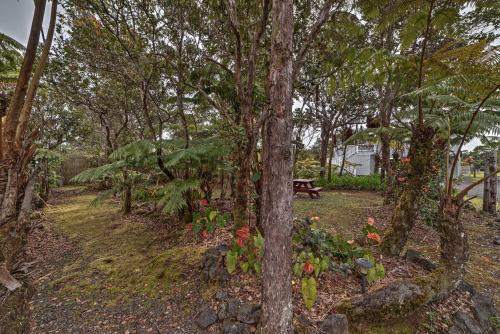 Serene Tropical Volcano Home on Private Half Acre! - image 2