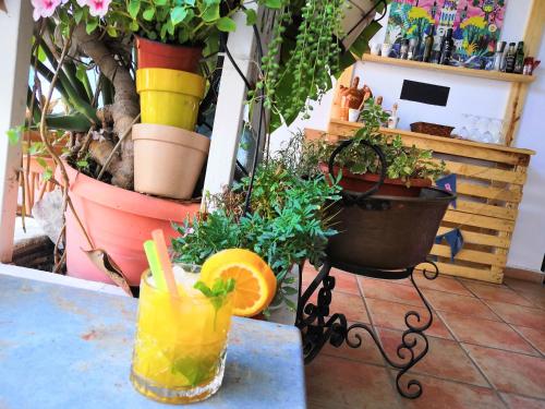 Hotel Ramis - image 5