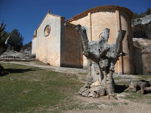 Fuente del Pino Cañón de Río Lobos