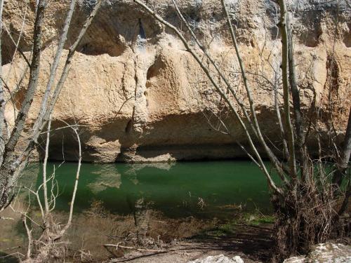 Fuente del Pino Cañón de Río Lobos