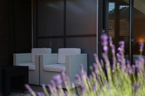 Quad room, deluxe, terrace