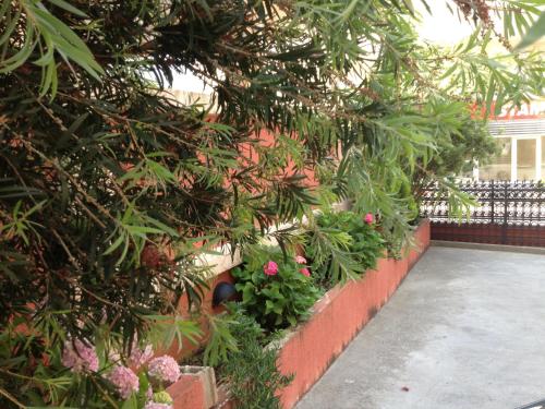 Apartments Boreta - image 11