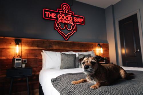 Brewdog Kennels Aberdeen