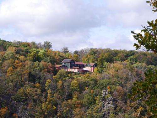 Akzent Berghotel Rosstrappe - Hotel - Thale