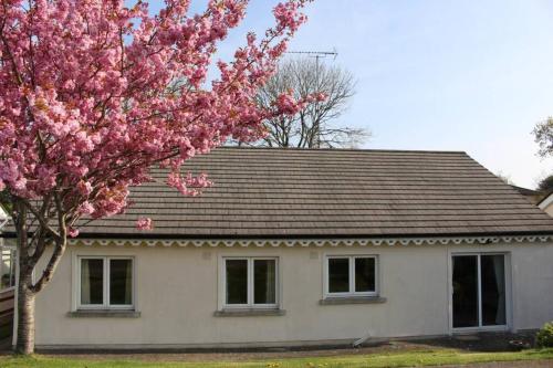 B&B Courtown - Sunny Bungalow - Bed and Breakfast Courtown