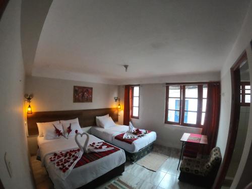 New Day Cusco B&B
