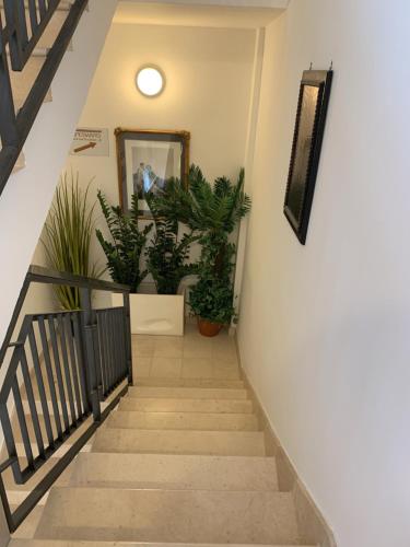 Esperanto B&B - image 10