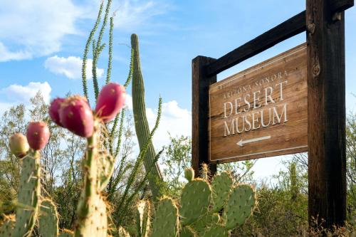 Hyatt Place Tucson Central