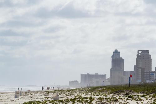 New Listing! Gulf Condo Steps to Sand & Waterpark condo - image 5