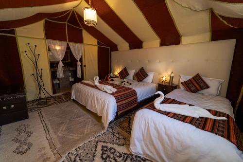 Sahara Desert Luxury Camp