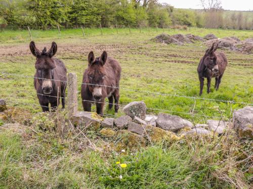 Sunset View in Rooskey