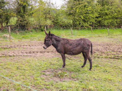 Sunset View in Rooskey