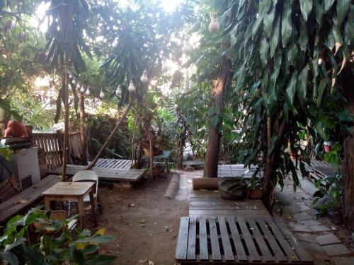 7500 palabra clave  Último Gratis