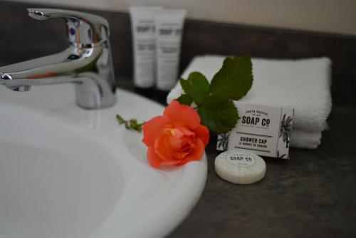 Hotel amenity view