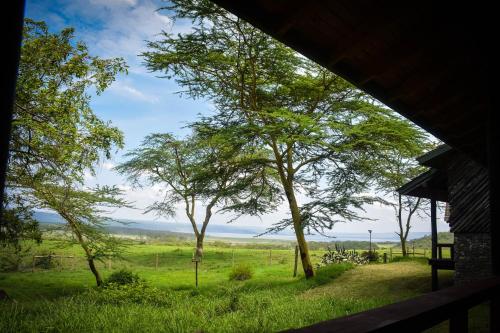 Lake Nakuru Lodge