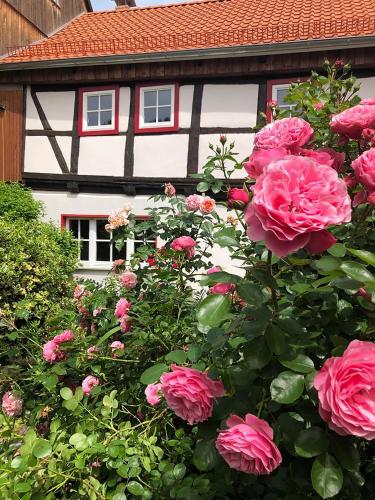 Gesindehaus Bornecke - Börnecke