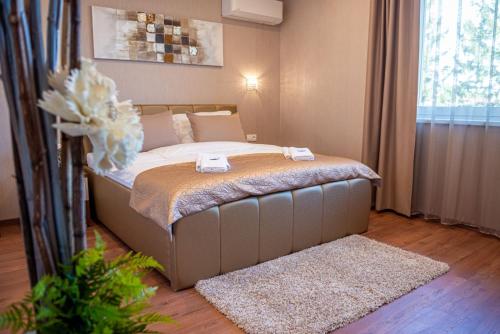 1 queen bed, 1 sofa bed