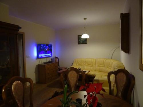 Apartament w centrum, garaż i jakuzzi w cenie