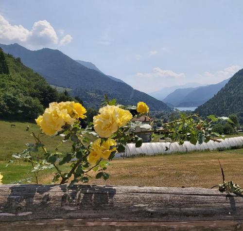 Agritur LA DASA