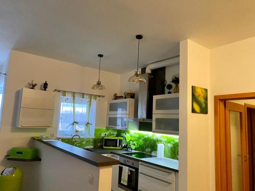 Apartman na Lukach - Kopretina in Trebon